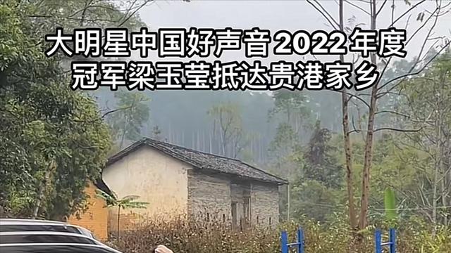 梁玉莹|好声音冠军梁玉莹回乡，遮遮掩掩被指装过头，人未红排场先铺起来