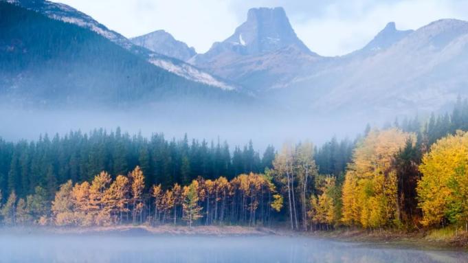 招聘|实现理想，要学会变通