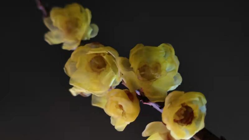 |强者的十大潜质是什么？