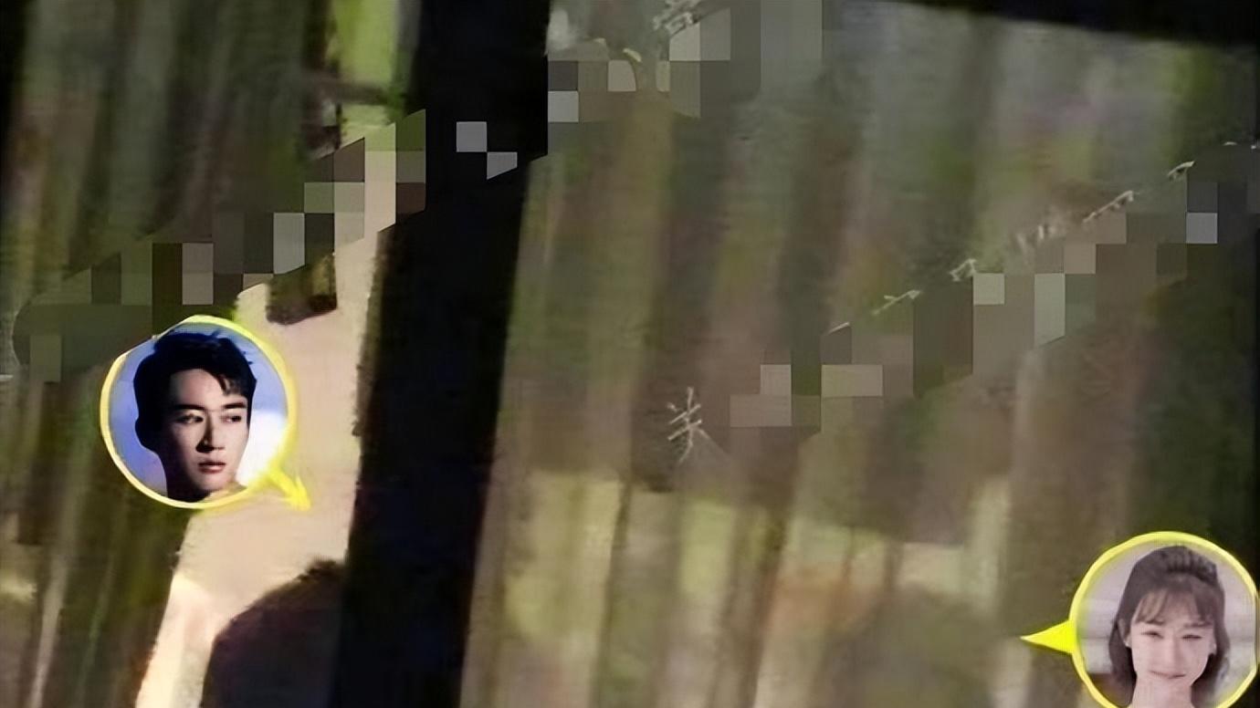 杨紫|杨紫《长相思》杀青宴被拍，助理三把伞遮挡不了，邓为提前离开