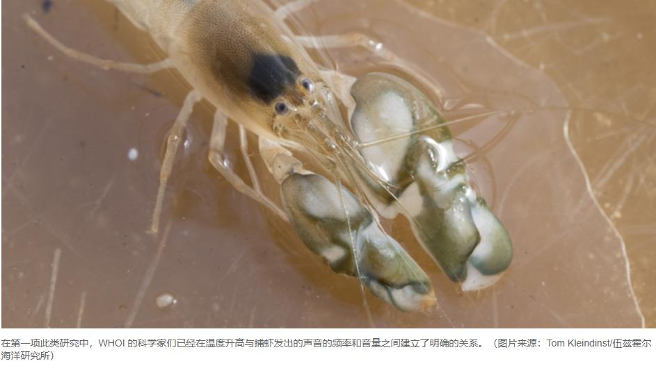 2022年8月20日我们一起来关注大自然