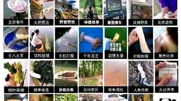 手榴弹|继钓友钓到手榴弹后，又有人摸出古墓！网友：堪比“摸金校尉”