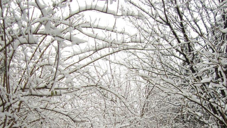 运势|8月，你将获得2倍于往年的财富增长，财务更加自由，实现人生梦想的三大生肖