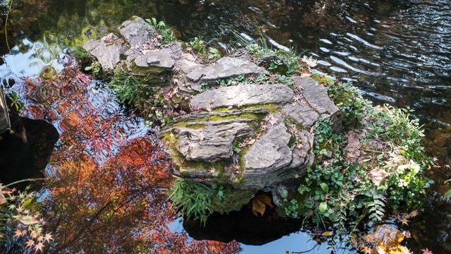 惠山古镇|秋水无痕清见底，深秋的江南除了银杏和红叶，秋水也是必打卡景观