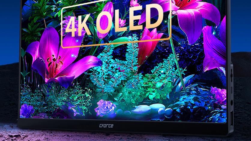 OLED|OLED便携式显示器哪个品牌比较好？