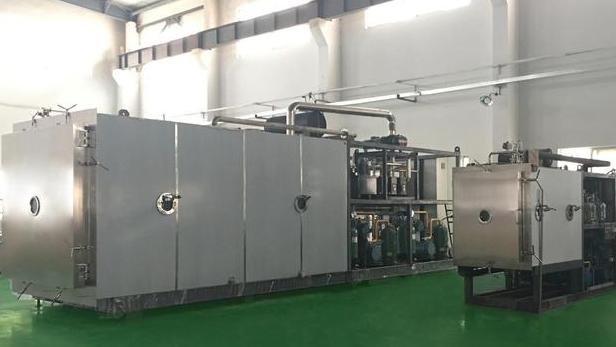 真空冻干机物料设置工艺