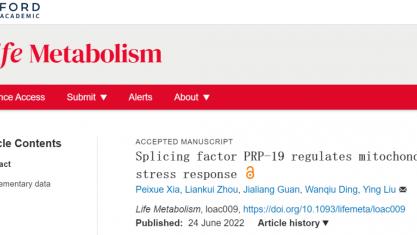 【学术前沿】刘颖课题组发现剪接因子PRP-19调控线粒体应激反应
