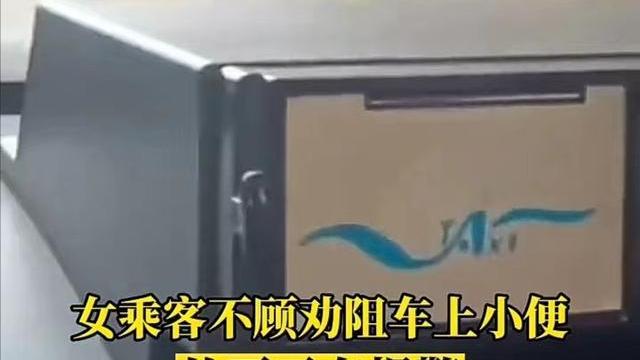 温州年轻女子不顾司机阻拦，在出租车上撒尿，司机：车上都是尿味