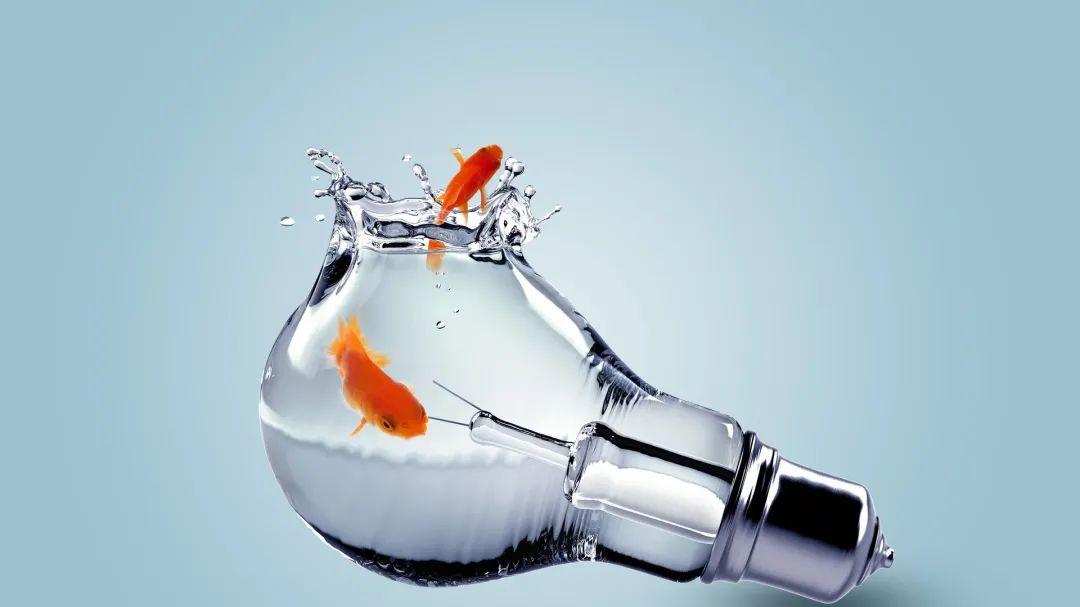 为什么总有人觉得港台风水师更牛？