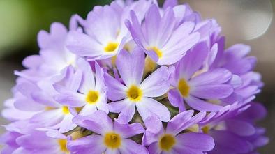 |职场中，能力很强，但无法上升，常常有这3个表现