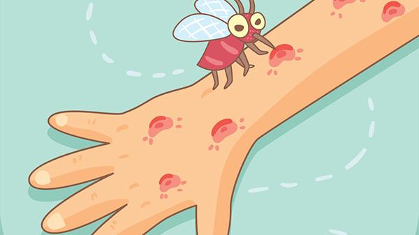 室内消灭蚊子都有哪些实用的好办法？