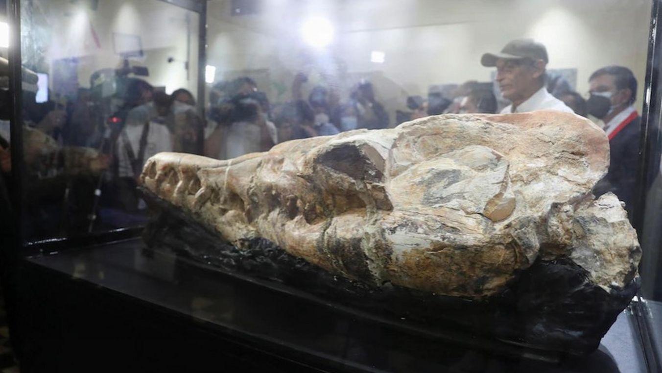 考古界世纪谜团！秘鲁挖掘出“外星头骨”，地外文明真的存在过？