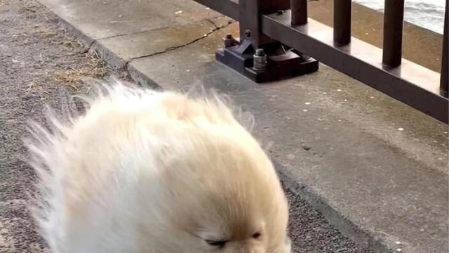 hr|找工作面试我问HR是否双休，HR：“有能耐去考公，别来这面试”