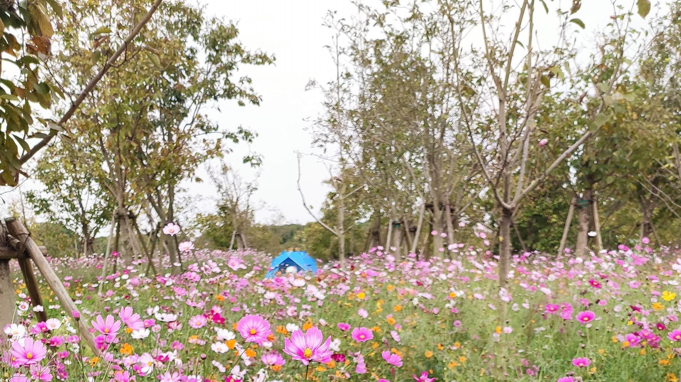 那些所谓的解压神器、解压圣地，不愁没有生意