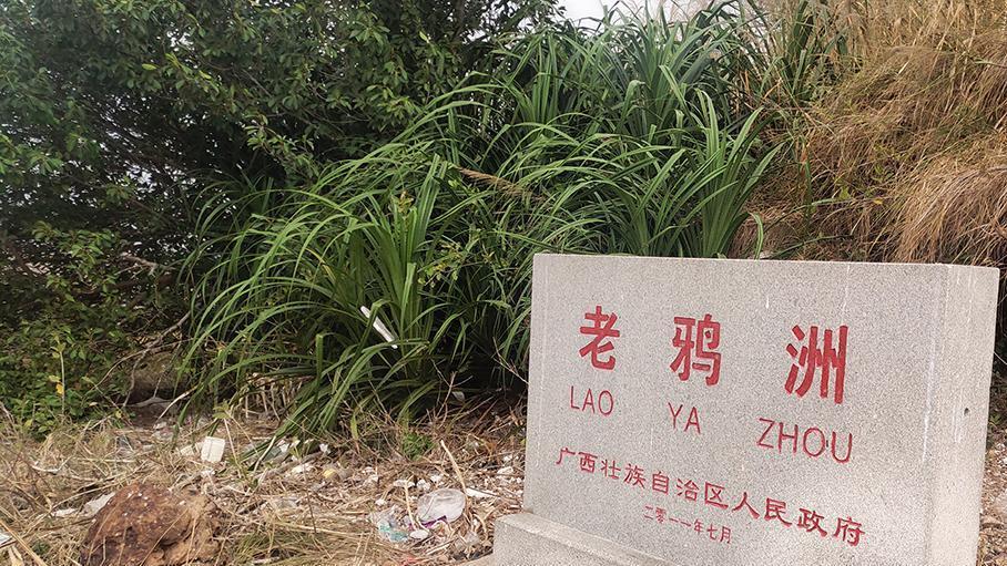 铁山港|航拍北海铁山港海域最漂亮的海岛：老鸦洲