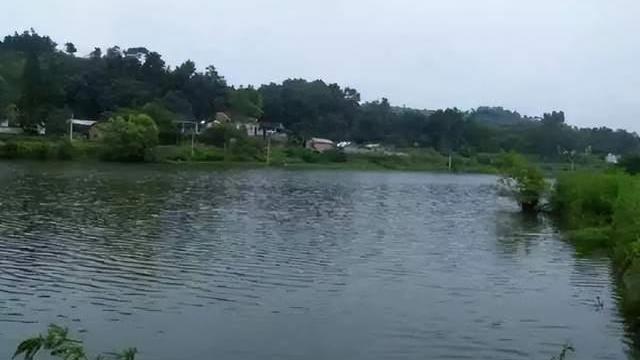 |一男子野钓被雷击，避雷方案详解，安全无虑