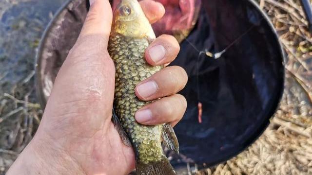 |钓鱼人一定要知道的3个漂相！中鱼率很高，却常常被搞错