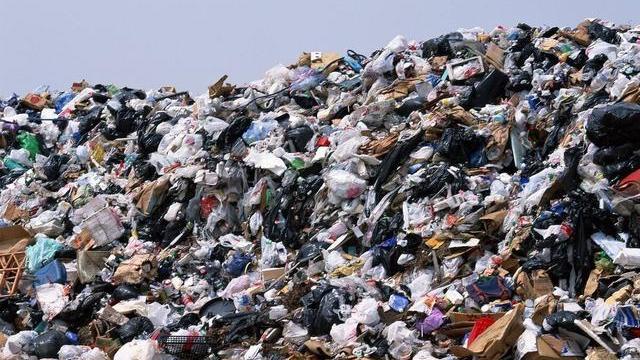 人类粪便和血液中均发现塑料微粒：霍金的预言，或许将会被验证