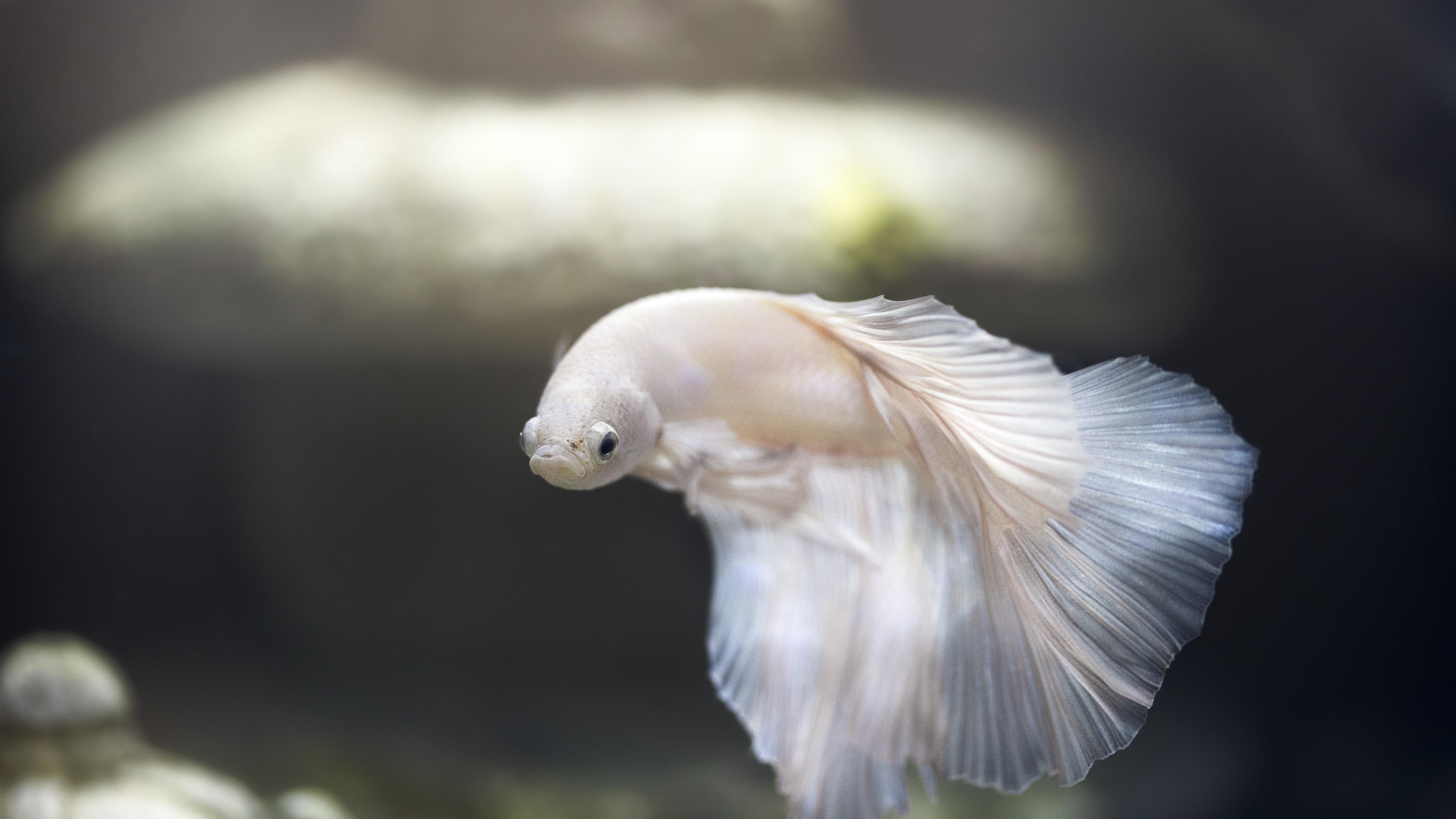 |体制内领导最重视的5件事！