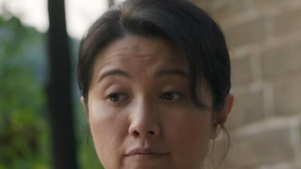 颜丙燕|山河锦绣：又见颜丙燕，外形朴实，表演真实，但有一个明显的槽点