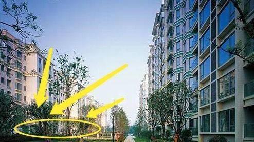 经济适用房|一楼的房子还有人抢着买？一楼住户苦笑：等着二百万打水漂吧！