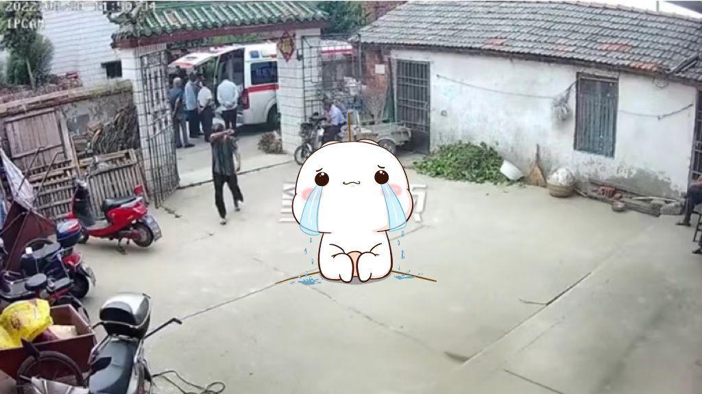 相守40年老伴被救护车送回家，母亲瞬间崩溃偷偷抹泪，下一幕感人