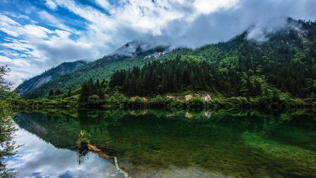 鱼汤|三个河南小伙去四川旅游，点了6道菜，结账时老板都以为是本地人