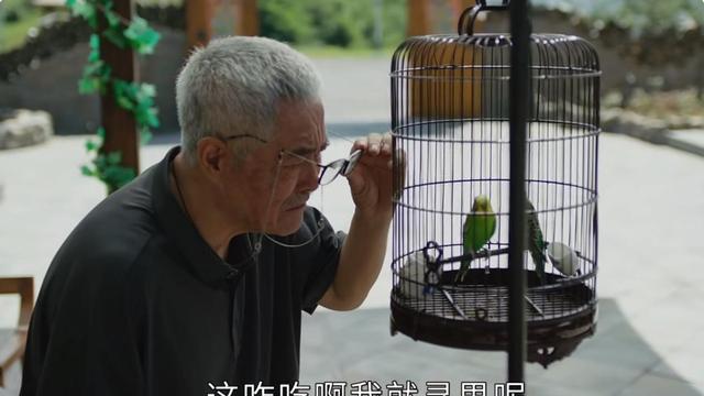 刘老根5|《刘老根5》故事充满悬浮气息，笑点呈现生搬硬套，剧情推进没有共情力