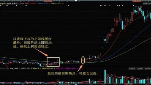 中国股市：一旦走出“蚂蚁上树”，洗盘完毕，正是牛股启动信号