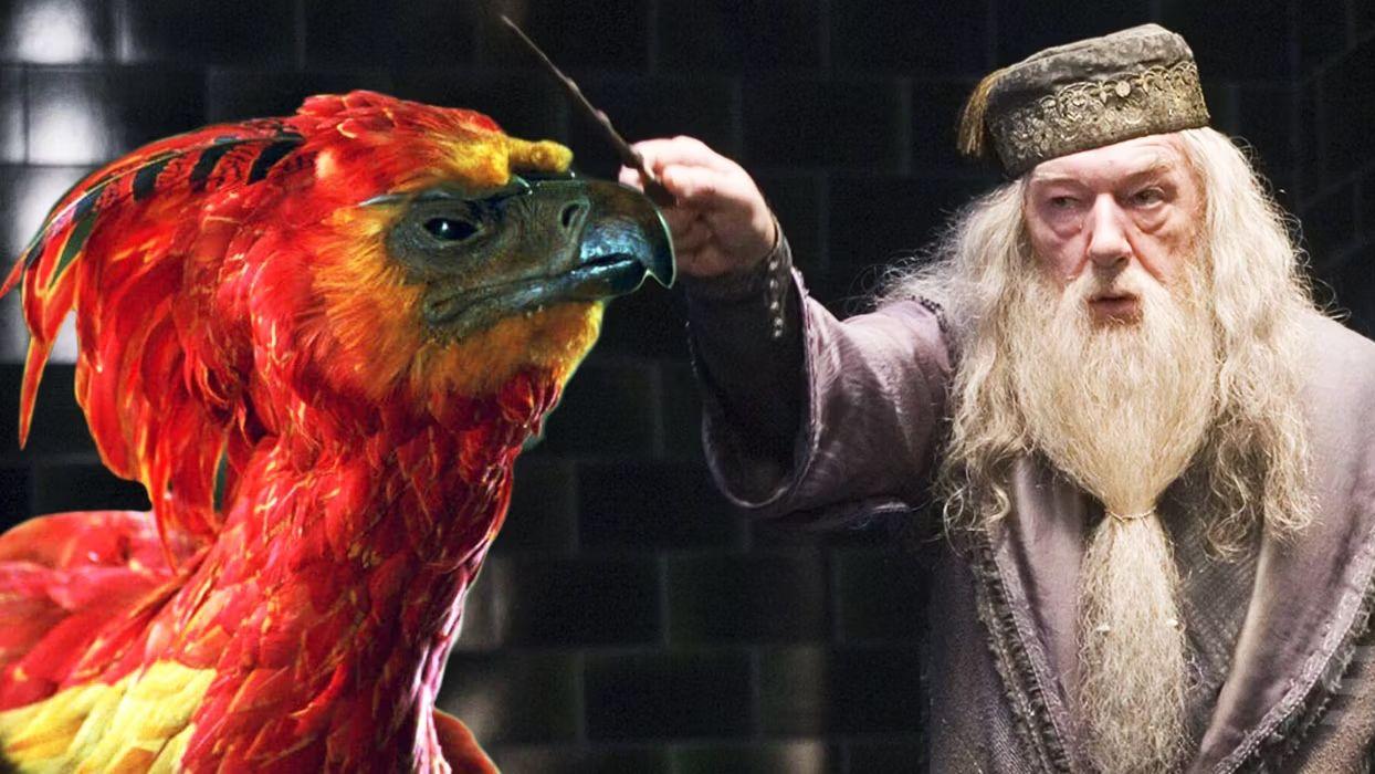 邓布利多|《哈利波特》，有关邓布利多荧幕内外的几个故事，包括角色重选