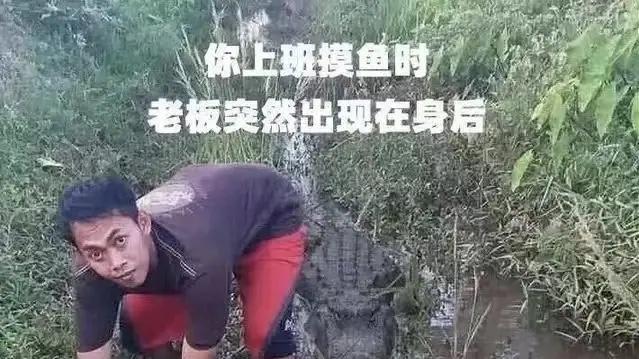 我以前总觉得员工养鱼真该死。