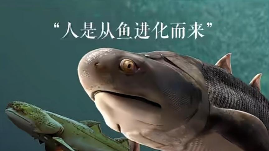 怎么也没想到人是从鱼进化而来，你相信吗？
