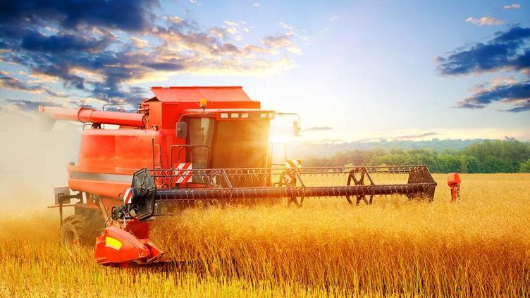 姐姐|有房企在拼命收割人才，有三家公司被收割的最惨！