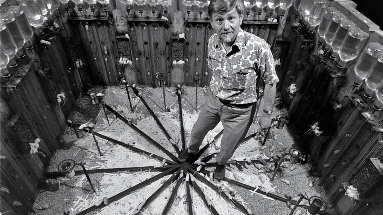 科学家将8只白鼠放进乐园，各种资源享用不尽，4年后却发现不对劲，不得不提前终止实验