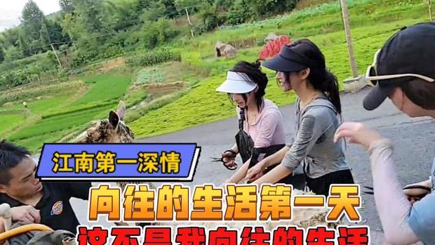 童锦程|向往的生活直播版开启，童锦程组织泥地撕名牌！全员泥鳅令人笑喷