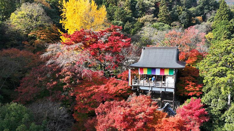 |了解他人需求就是成就自己