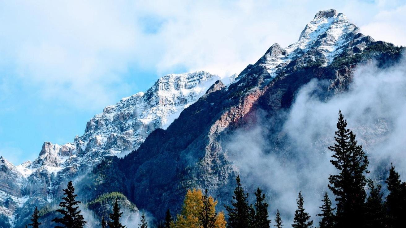 招聘|这3类领导，对你已经“无意”，对你已经表示“无意”