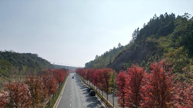 乡村旅游|益阳这条长仅6.8公里的公路，很多外地人驱车前往，景色胜过景区