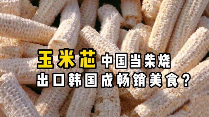 寻宝记|中国人拿玉米芯当猪饲料，韩国人拿来当美食，能卖2000韩元？