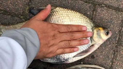 |通过钓鱼学会的5个技能！果然钓鱼人除了钓鱼不行，其他都行