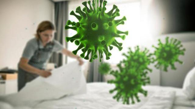 人走茶凉，细菌还在，新研究：人类的存在，会改变室内微生物群