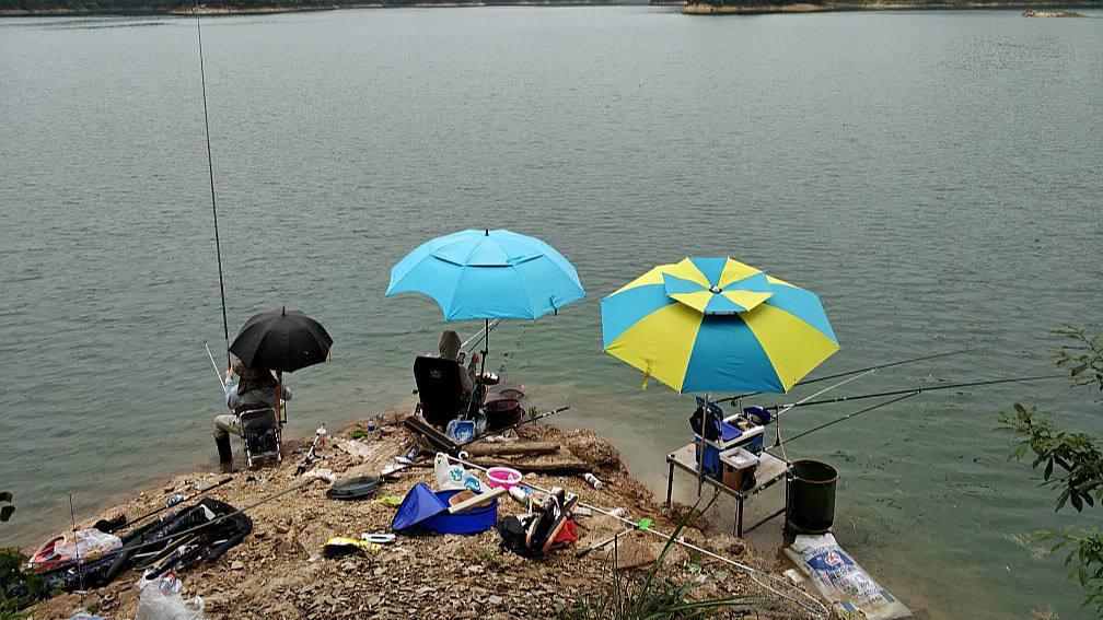 夜钓|钓友们注意了，最近夜钓能爆护啊