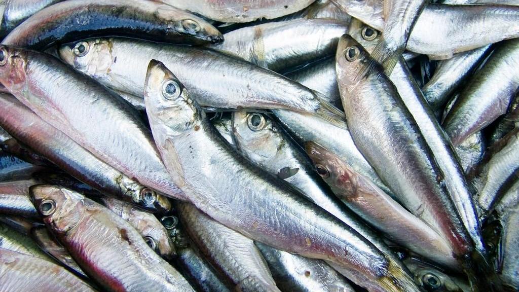 最罕见的6种雨！血雨是红色藻类孢子，肉雨竟是秃鹫呕吐物