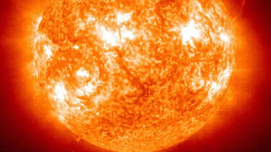 种种迹象表明，地球可能正进入第六次生物大灭绝？科学家发出警告