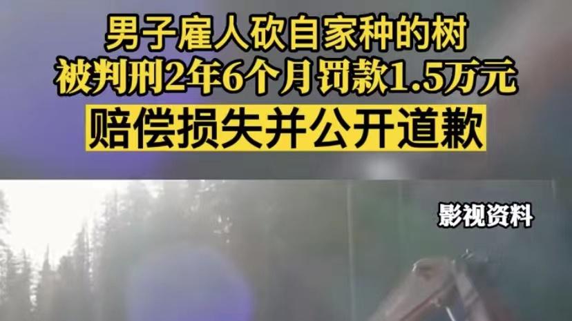 男子砍自家种的树被判2年六个月，还需赔偿损失并公开道歉。