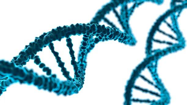 用科学来解释生物进化是从基因到生殖的完整解答。