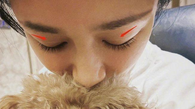 杨紫|真恋爱了？杨紫晒与刘学义同款狗狗，男方疑似与张予曦已经分手