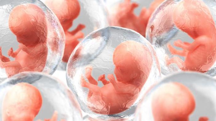 生物技术公司提取人类DNA，制造出可用于器官移植的人工胚胎