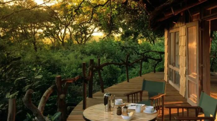 |在东非洲，肯特西南的野生动物园里，有一座“树上旅馆”