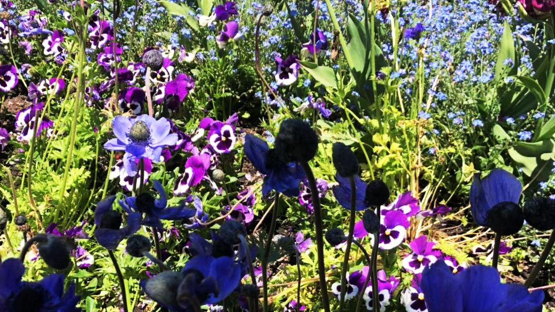 |哪几个时辰出生的人，好运会找上门，挖掘潜力让人生上更高台阶